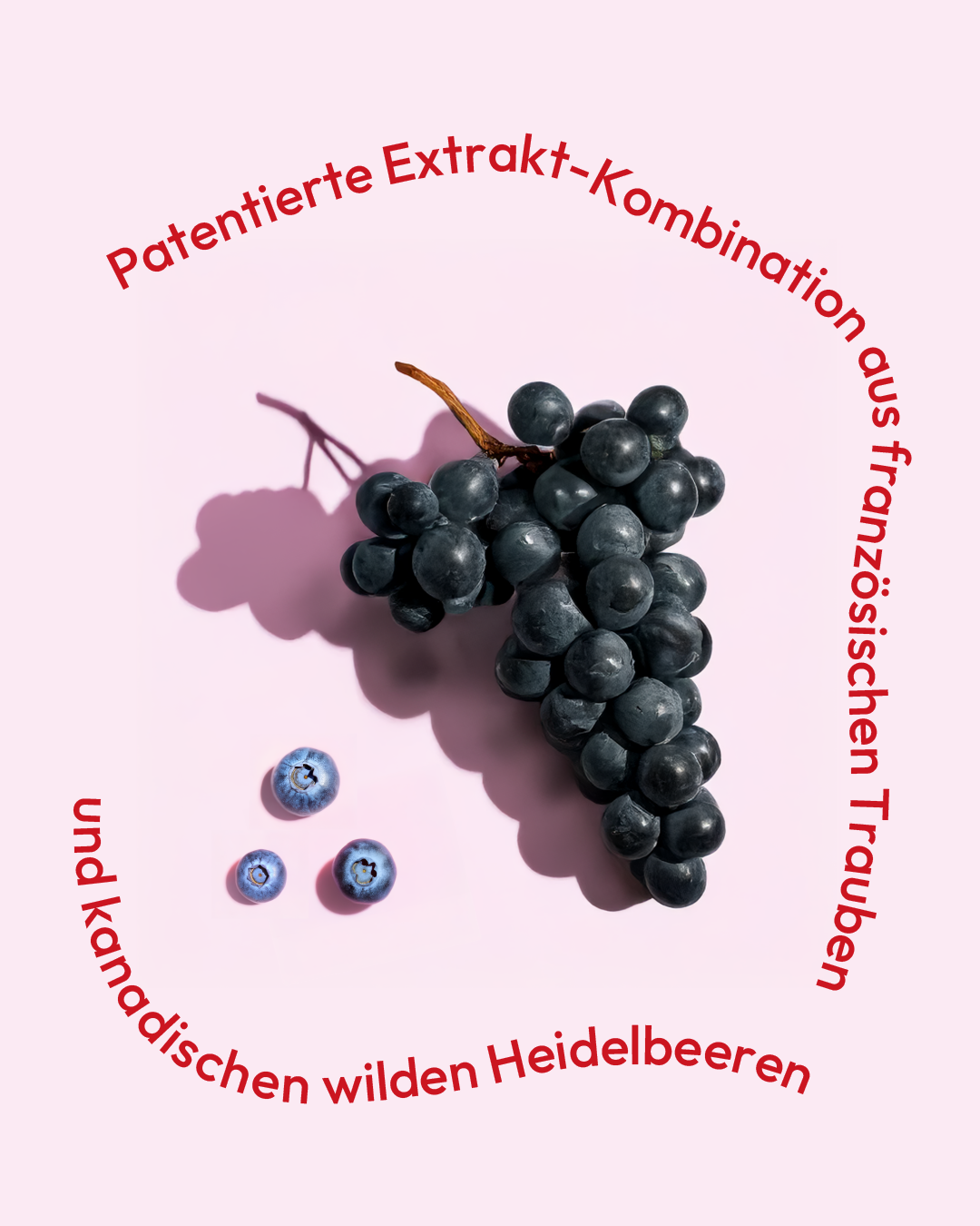 Daily Mind - Red Bliss Probepackung (1 Portion) – Bild 4