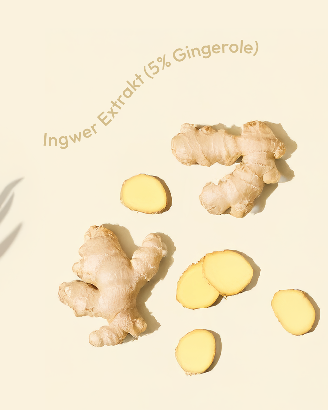 Daily Mind - White Spirit (20 Portionen) – Bild 5