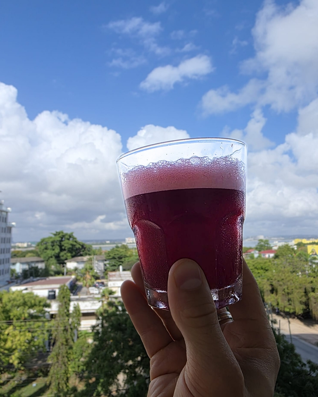 Daily Mind - Red Bliss (20 Portionen) – Bild 10